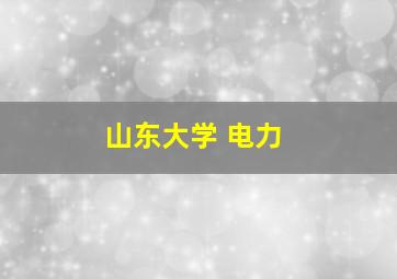 山东大学 电力